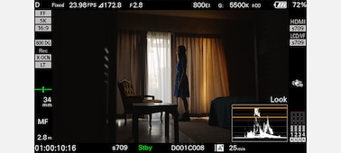 Изображение монитора камеры FX5 с силуэтом человека, стоящего у окна с занавесками.