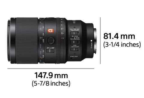 FE 100mm F2.8 Macro GM OSS | SEL100M28GM | Sony Middle East
