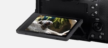 Технические Характеристики DSC-RX10M4 | Фотокамеры | Sony Middle East