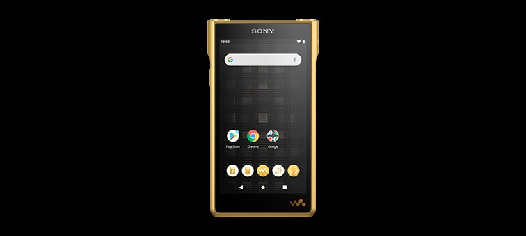 NW-WM1ZM2 Specifications | Walkman | Sony Middle East
