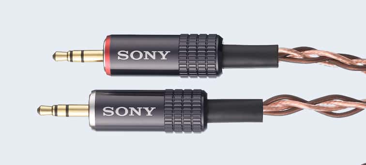 MUC-B20BL1 Balance 2m Y-type Cable | MUC-B20BL1 | Sony Middle East